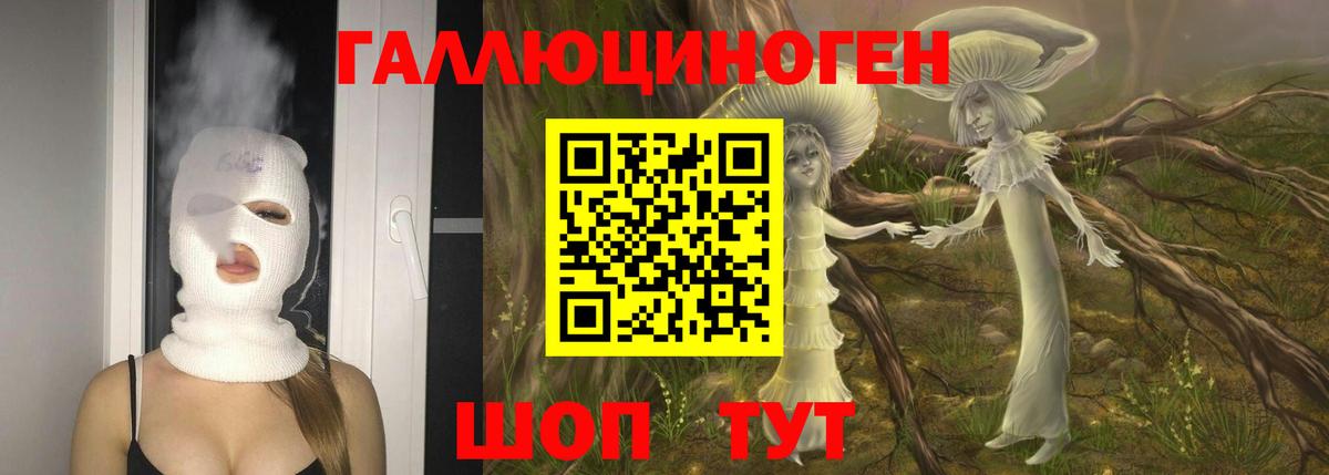 Псилоцибиновые грибы прущие грибы  Железноводск  цена   Псилоцибиновые грибы прущие грибы 